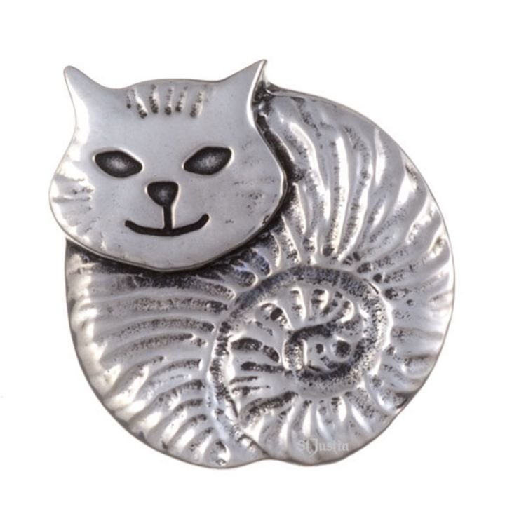 Image 1 of Fat Cat Contemporary Antiqued Stylish Pewter Brooch