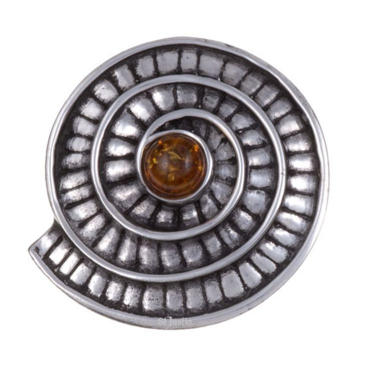 Image 1 of Amber Ammonite Shell Spiral Antiqued Stylish Pewter Brooch