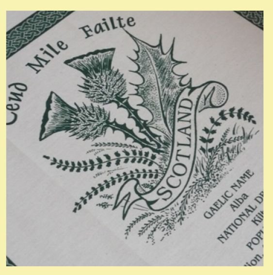 Image 0 of Scotland Thistle Flower Cloot Unbleached Cotton Printed Tea Towel