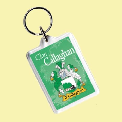 Image 0 of Callaghan Coat of Arms Irish Family Name Acryllic Key Ring Set of 5