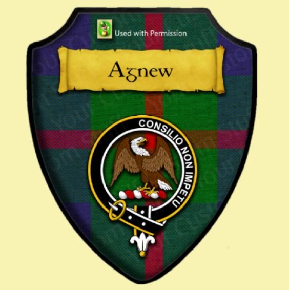 Agnew Modern Tartan Crest Wooden Wall Plaque Shield