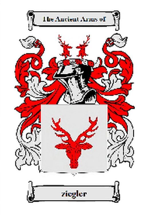 Image 2 of Ziegler German Coat of Arms Large Print Ziegler German Family Crest 