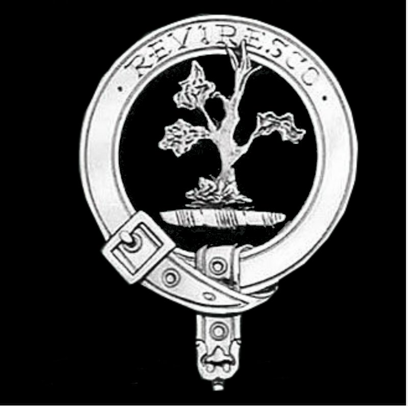 Image 3 of MacEwen Clan Badge Polished Sterling Silver MacEwen Clan Crest