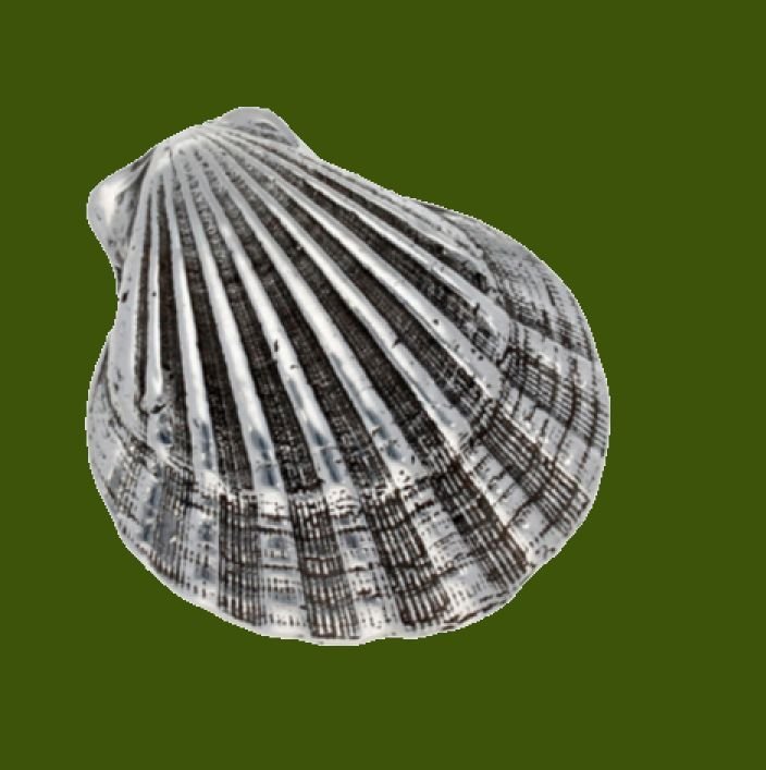 Image 0 of St Michaels Way Shell Antiqued Stylish Pewter Brooch