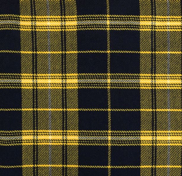 Image 1 of Morris Welsh Tartan 13oz Wool Fabric Medium Weight Ladies Mini Skirt