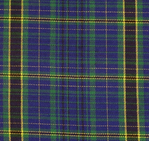 Image 1 of Eynon Beynon Welsh Tartan 13oz Wool Fabric Medium Weight Ladies Pleated Skirt