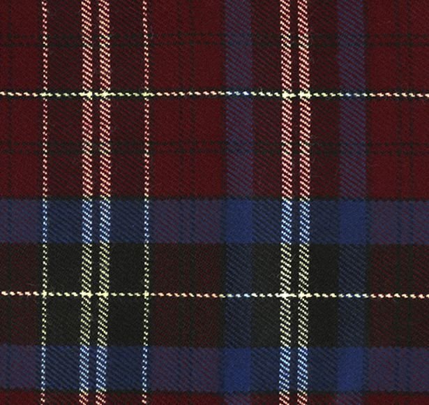 Image 1 of Gwyn Wynne Welsh Tartan 13oz Wool Fabric Medium Weight Ladies Pleated Skirt