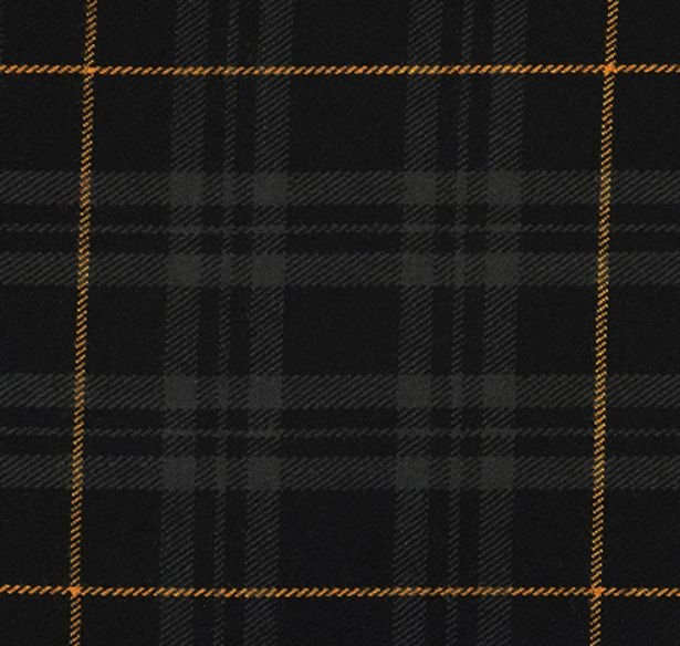 Image 1 of Glyndwr Gold Welsh Tartan 13oz Wool Fabric Medium Weight Ladies Pleated Skirt