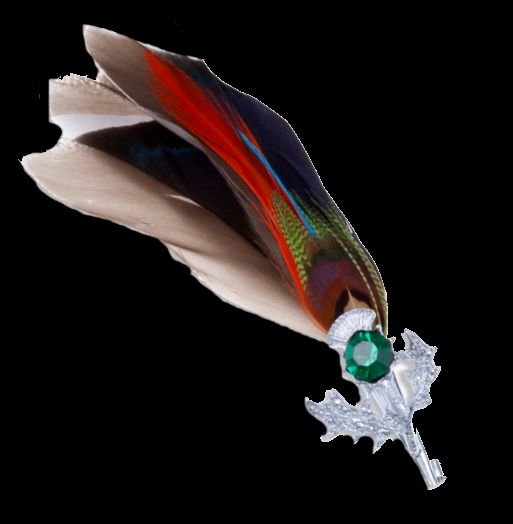 Image 0 of Mallard Feather Plume Thistle Flower Green Glass Stone Chrome Plated Brooch