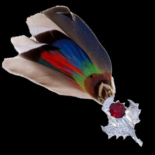 Image 0 of Mallard Feather Plume Thistle Flower Red Glass Stone Chrome Plated Brooch