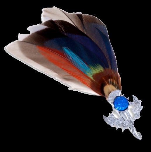 Image 0 of Mallard Feather Plume Thistle Flower Blue Glass Stone Chrome Plated Brooch