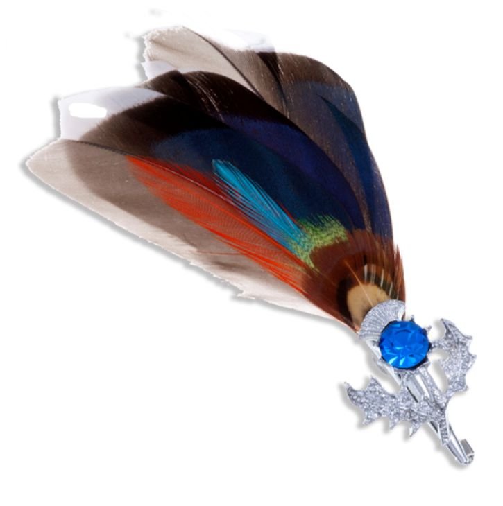 Image 1 of Mallard Feather Plume Thistle Flower Blue Glass Stone Chrome Plated Brooch