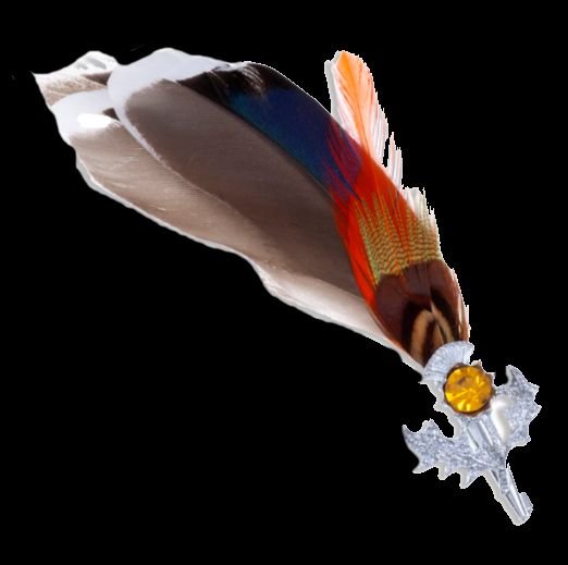 Image 0 of Mallard Feather Plume Thistle Flower Orange Glass Stone Chrome Plated Brooch