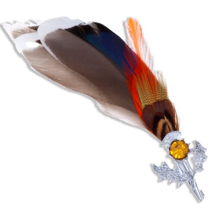 Image 1 of Mallard Feather Plume Thistle Flower Orange Glass Stone Chrome Plated Brooch