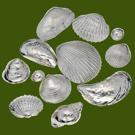 Image 0 of Memories From The Seaside Twelve Seashells Stylish Pewter Set 