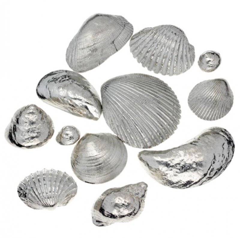 Image 1 of Memories From The Seaside Twelve Seashells Stylish Pewter Set 