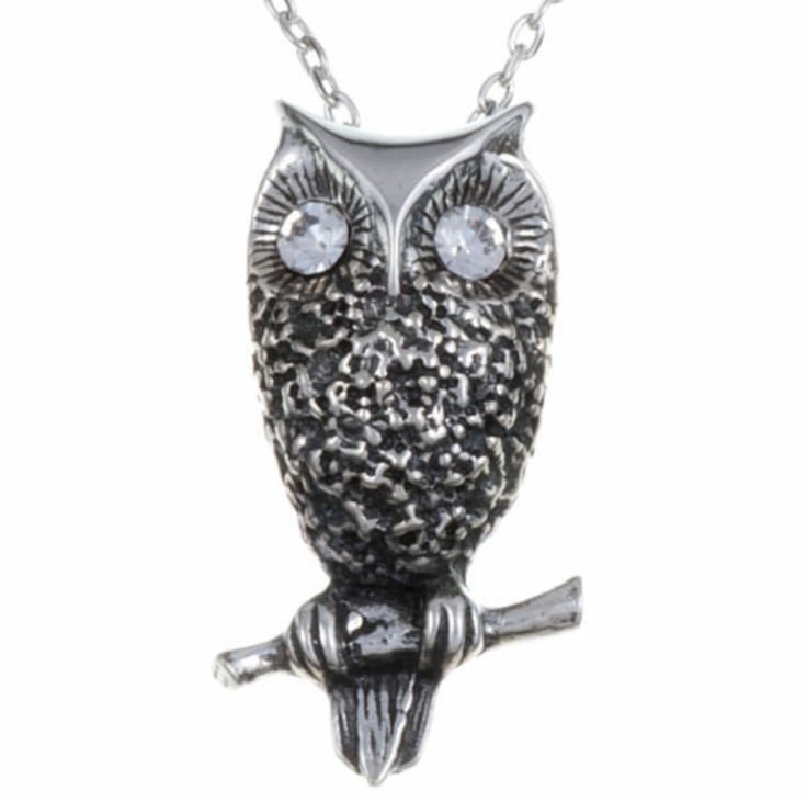 Image 1 of Owl Bird Themed Textured Clear Crystal Stylish Pewter Pendant