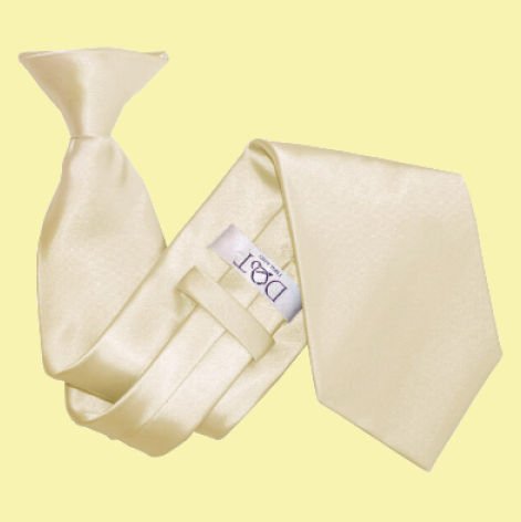 Image 0 of Champagne Mens Plain Satin Clip-on Tie Wedding Necktie Set Of Five