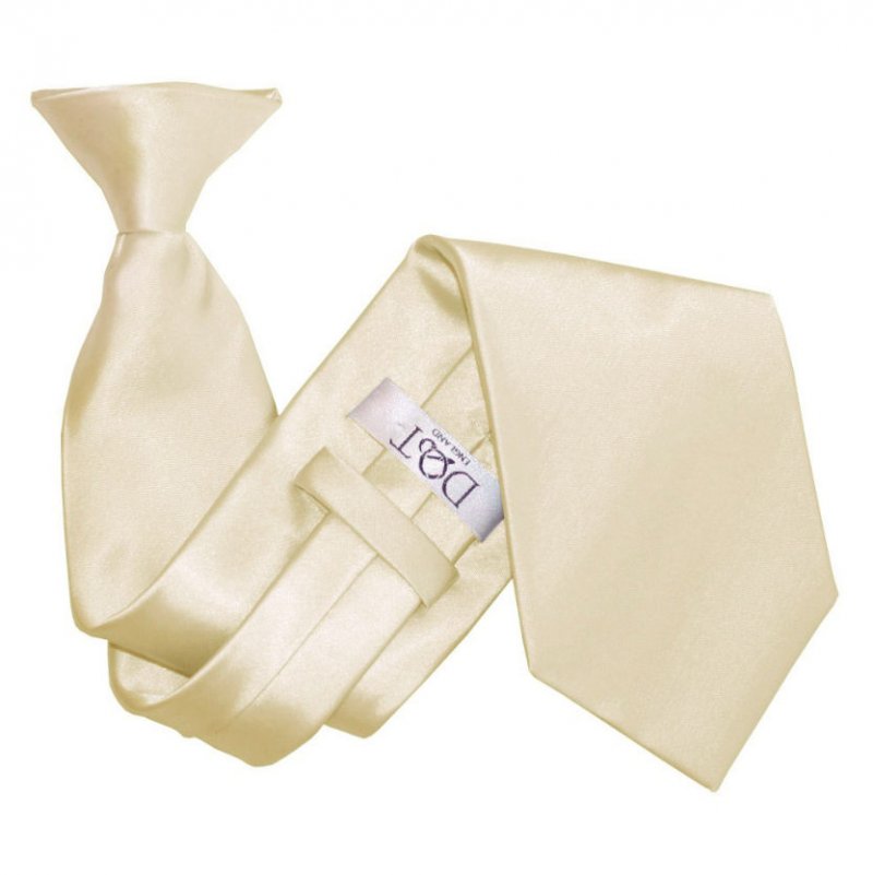 Image 1 of Champagne Mens Plain Satin Clip-on Tie Wedding Necktie Set Of Five