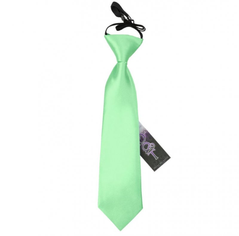 Image 1 of Mint Green Boys Plain Satin Elastic Tie Wedding Necktie 