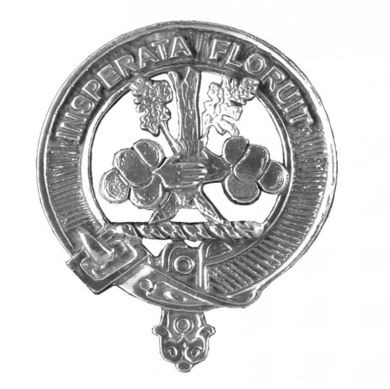 Image 1 of Watson Clan Cap Crest Stylish Pewter Clan Watson Badge