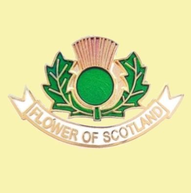 Image 0 of Flower Of Scotland Thistle Enamel Badge Lapel Pin Set x 3