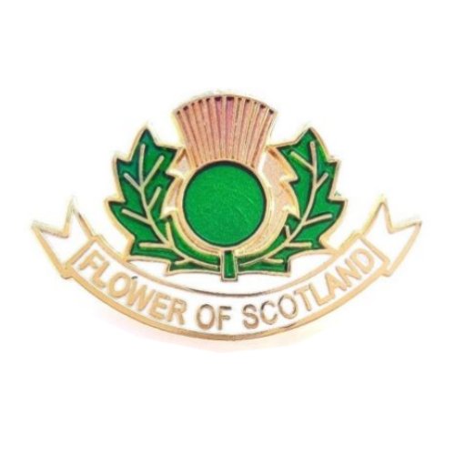 Image 1 of Flower Of Scotland Thistle Enamel Badge Lapel Pin Set x 3
