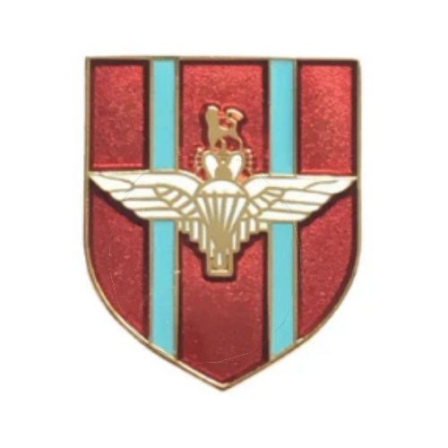 Image 1 of Paratroops British Military Shield Enamel Badge Lapel Pin Set x 3