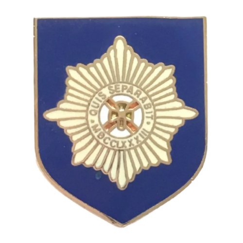 Image 1 of Irish Guards British Military Shield Enamel Badge Lapel Pin Set x 3