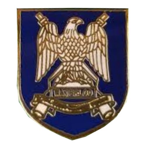 Image 1 of Royal Scots Dragoon Guards Military Shield Enamel Badge Lapel Pin Set x 3