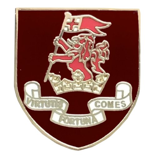 Image 1 of Duke Of Wellington Regiment Military Shield Enamel Badge Lapel Pin Set x 3