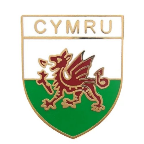 Image 1 of Cymru Welsh Dragon Shield Enamel Badge Lapel Pin Set x 3