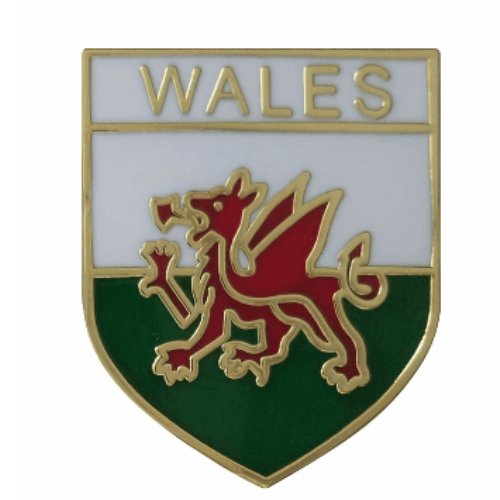 Image 1 of Wales Welsh Dragon Shield Enamel Badge Lapel Pin Set x 3