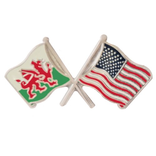 Image 1 of Wales United States Crossed Country Flags Friendship Enamel Lapel Pin Set x 3