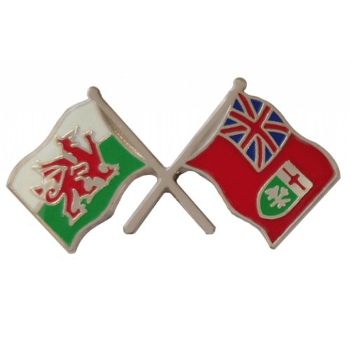 Image 1 of Wales Ontario Canada Crossed Flags Friendship Enamel Lapel Pin Set x 3