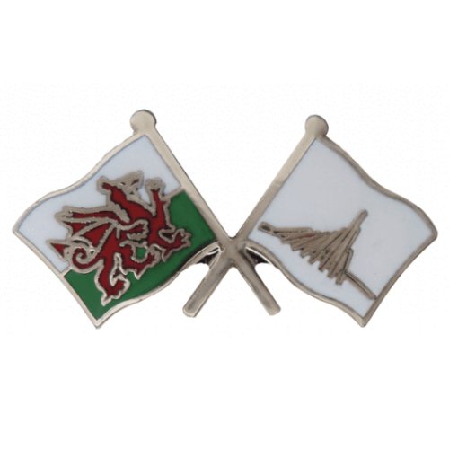 Image 1 of Wales Rhone Alps France Crossed Flags Friendship Enamel Lapel Pin Set x 3