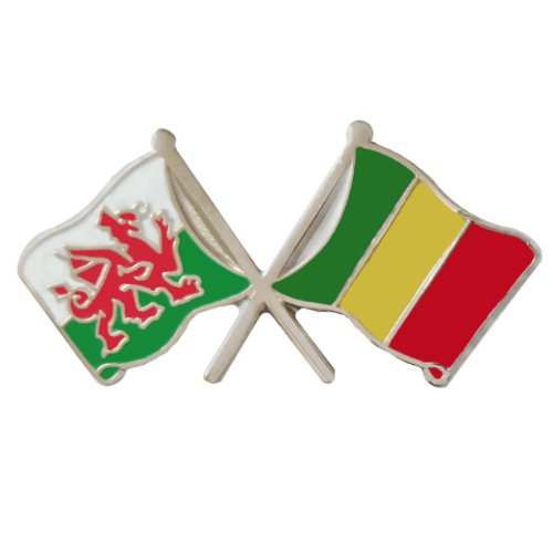 Image 1 of Wales Mali Crossed Country Flags Friendship Enamel Lapel Pin Set x 3