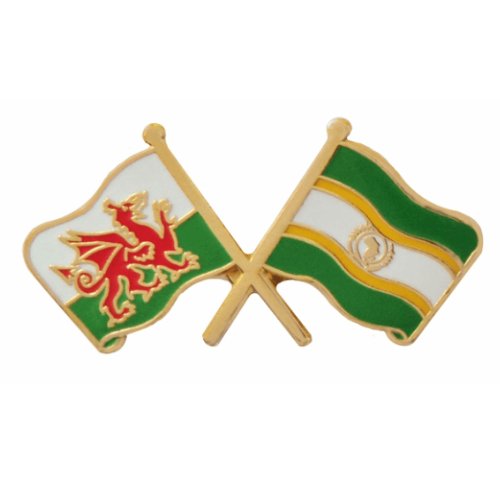 Image 1 of Wales African Union Crossed Flags Friendship Enamel Lapel Pin Set x 3