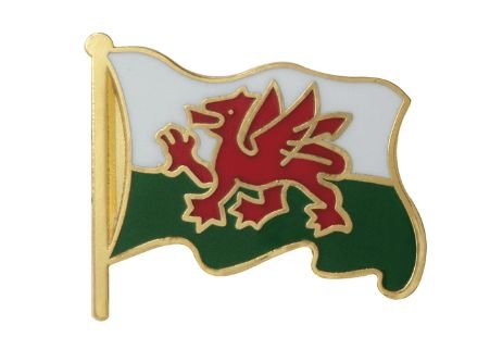 Image 1 of Welsh Dragon Waving Flag Enamel Badge Lapel Pin Set x 3