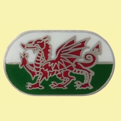 Image 0 of Welsh Dragon Oval Enamel Badge Lapel Pin Set x 3