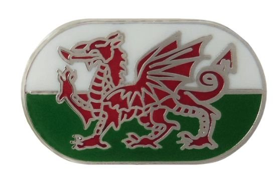 Image 1 of Welsh Dragon Oval Enamel Badge Lapel Pin Set x 3