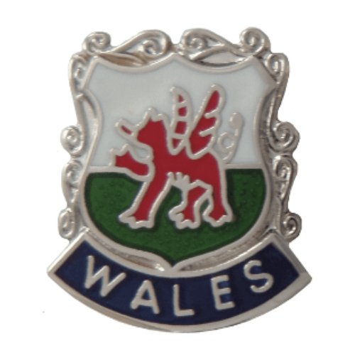 Image 1 of Wales Welsh Dragon Enamel Badge Shield Small Lapel Pin Set x 3