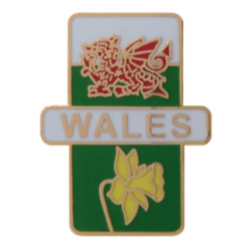Image 1 of Wales Welsh Dragon Daffodil Vertical Flags Enamel Badge Lapel Pin Set x 3