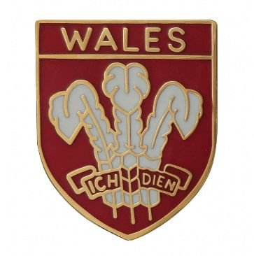 Image 1 of Wales Three Feathers Shield Enamel Badge Lapel Pin Set x 3