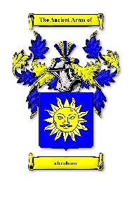 Image 1 of Abraham Irish Coat Of Arms Family Crest Paper Poster