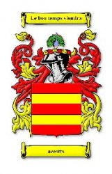 Accotts Irish Coat Of Arms Family Crest Paper Poster