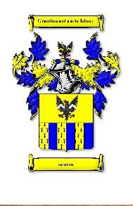 Image 1 of Acotes Irish Coat Of Arms Family Crest Paper Poster