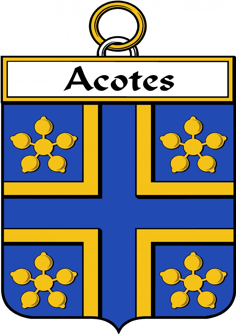 Image 3 of Acotes Irish Coat Of Arms Family Crest Paper Poster