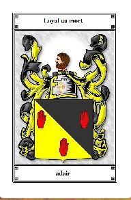 Image 2 of Adair Irish Coat Of Arms Family Crest Paper Poster