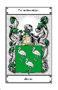 Image 2 of Aherne Irish Coat Of Arms Family Crest Paper Poster
